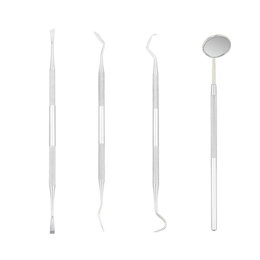 Premium Stainless Steel Dental Care Kit