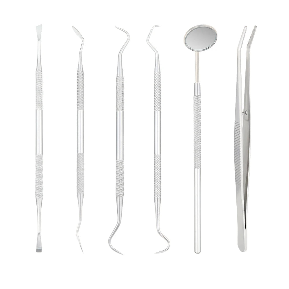 Premium Stainless Steel Dental Care Kit