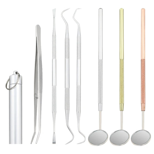 Premium Stainless Steel Dental Care Kit